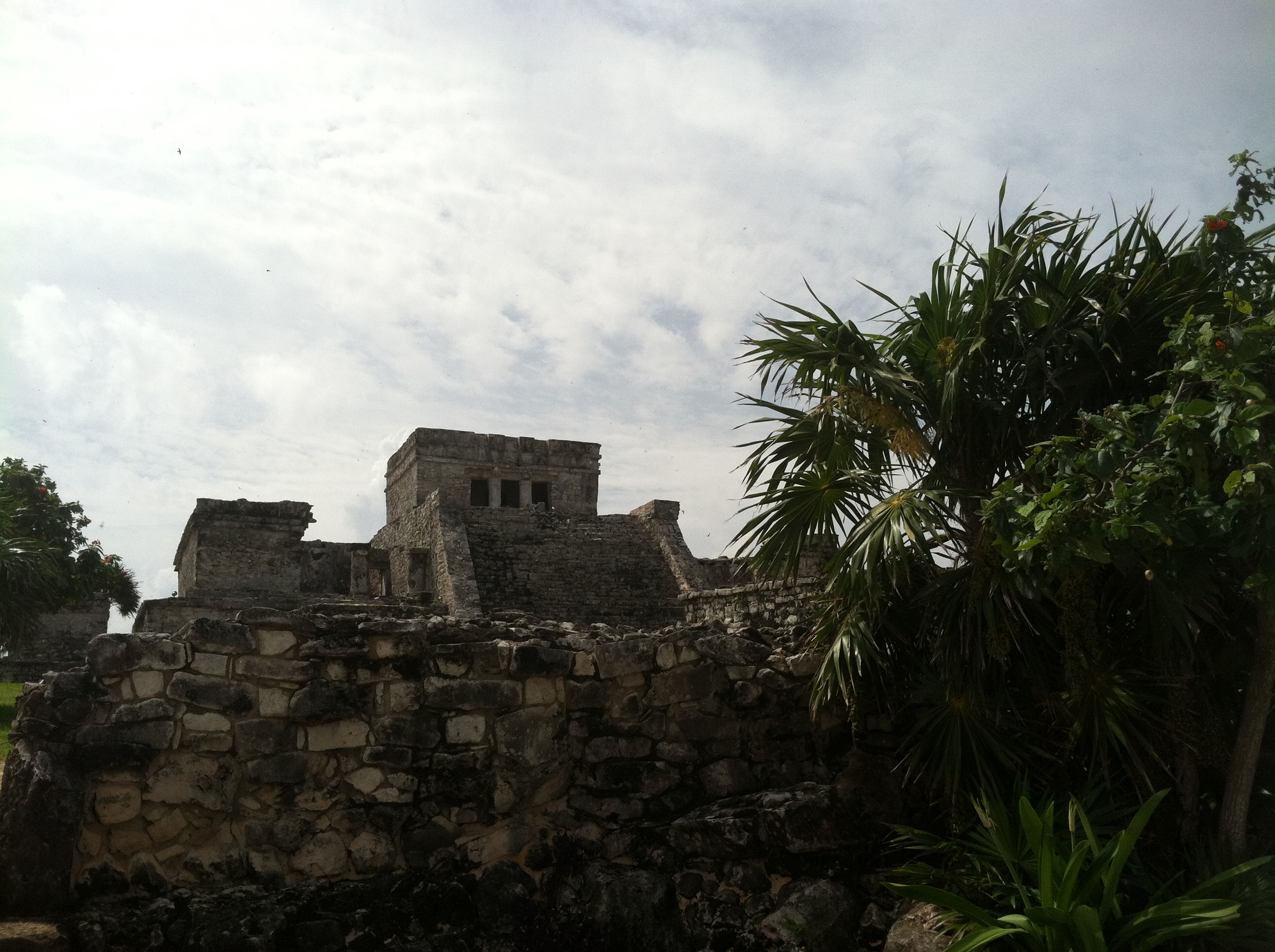 Under A Mayan Sky