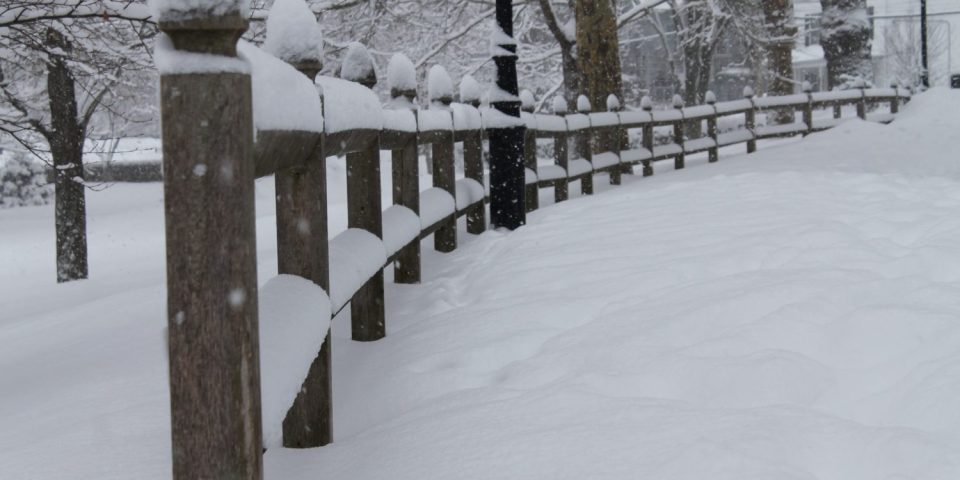 Snowfall in Wilcox Park